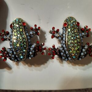 Colorful Frog Earrings